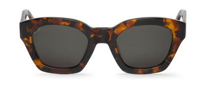 BARROSA CHEETAH TORTOISE