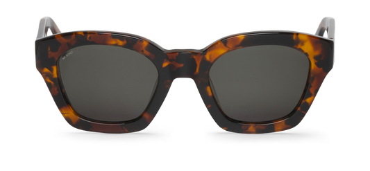 BARROSA CHEETAH TORTOISE